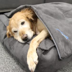 anti anxiety dog bed https://calmingdogbed.co.uk